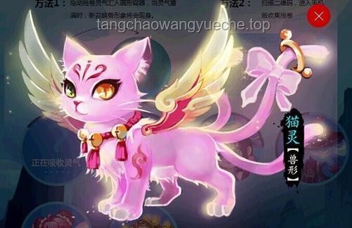 呆猫兽神1养成攻略：恶魔果实喂养神兽技巧
